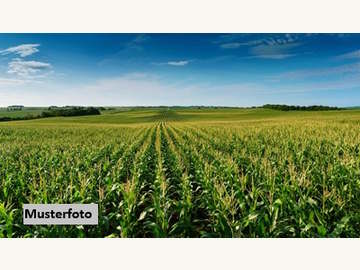 Landwirtschaftsgrund in Auerbach /  Hartberg-Fürstenfeld