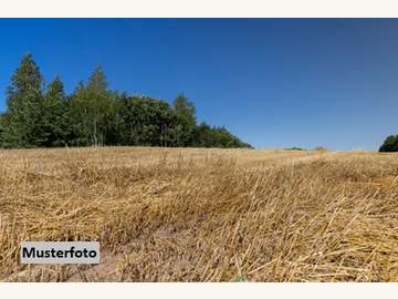 Landwirtschaftsgrund in Auerbach /  Hartberg-Fürstenfeld