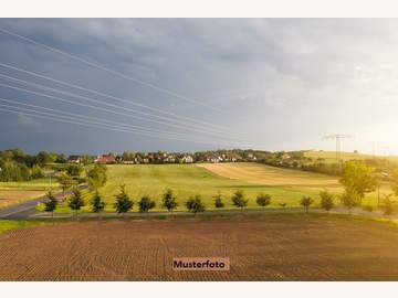 Landwirtschaftsgrund in Auerbach /  Hartberg-Fürstenfeld
