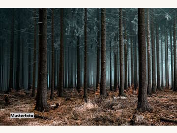 Landwirtschaftsgrund in Zahling /  Jennersdorf