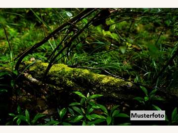 Landwirtschaftsgrund in Zahling /  Jennersdorf