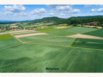 Landwirtschaftsgrund in Auerbach /  Hartberg-Fürstenfeld