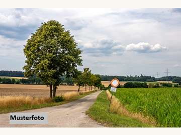 Landwirtschaftsgrund in Mauer bei Amstetten /  Amstetten