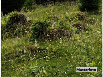 Landwirtschaftsgrund in Mürzzuschlag /  Bruck-Mürzzuschlag