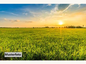 Landwirtschaftsgrund in Illmitz /  Neusiedl am See