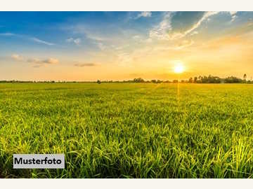 Landwirtschaftsgrund in Auerbach /  Hartberg-Fürstenfeld