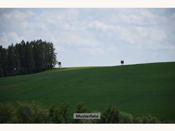 Landwirtschaftsgrund in St. Pölten-Ratzersdorf an der Traisen /  Sankt Pölten (Stadt)