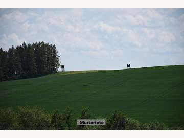 Landwirtschaftsgrund in Karlstein an der Thaya /  Waidhofen an der Thaya