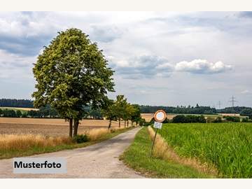 Landwirtschaftsgrund in St. Lorenzen am Wechsel /  Hartberg-Fürstenfeld