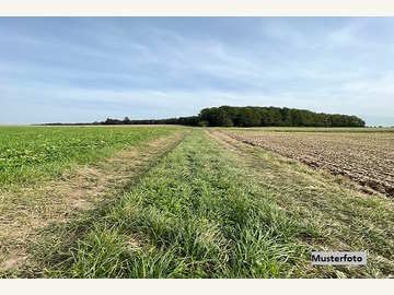 Landwirtschaftsgrund in Auerbach /  Hartberg-Fürstenfeld