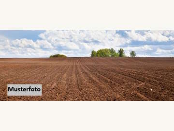 Landwirtschaftsgrund in Auerbach /  Hartberg-Fürstenfeld