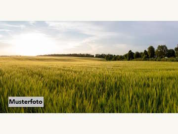 Landwirtschaftsgrund in Muthmannsdorf, angrenzend an Dreistetten /  Wiener Neustadt Bezirk