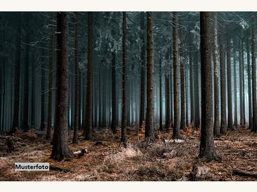 Landwirtschaftsgrund in Lavamünd /  Wolfsberg