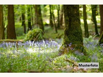 Landwirtschaftsgrund in Straß in Steiermark /  Leibnitz