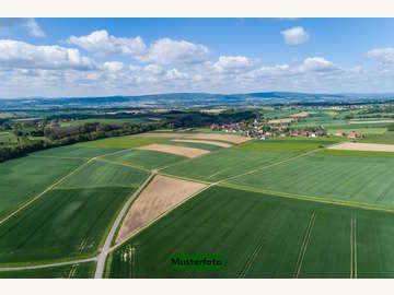 Landwirtschaftsgrund in Auerbach /  Hartberg-Fürstenfeld