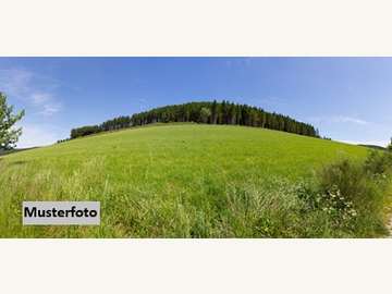 Landwirtschaftsgrund in St. Lorenzen am Wechsel /  Hartberg-Fürstenfeld