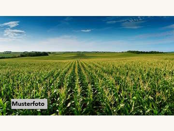 Landwirtschaftsgrund in Auerbach /  Hartberg-Fürstenfeld