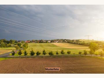 Landwirtschaftsgrund in Auerbach /  Hartberg-Fürstenfeld