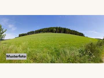 Landwirtschaftsgrund in Kukmirn /  G&uuml;ssing
