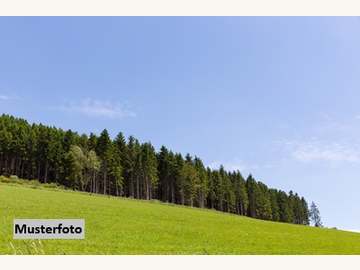 Landwirtschaftsgrund in Kukmirn /  G&uuml;ssing