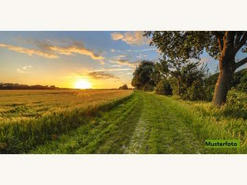 Landwirtschaftsgrund in Sebersdorf /  Hartberg-Fürstenfeld