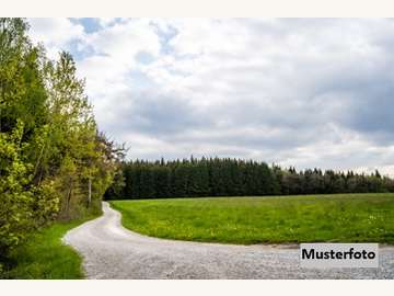 Landwirtschaftsgrund in St.Gerogen am Walde /  Perg