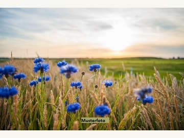 Landwirtschaftsgrund in Inzing /  Innsbruck Land