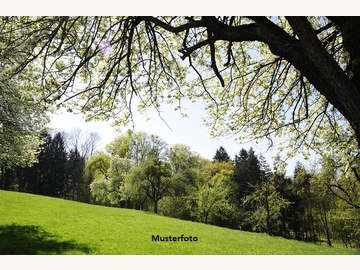 Landwirtschaftsgrund in Inzing /  Innsbruck Land