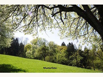 Landwirtschaftsgrund in Inzing /  Innsbruck Land