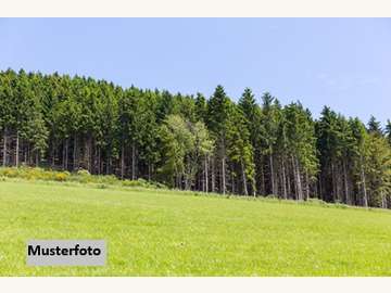 Landwirtschaftsgrund in Großklein /  Leibnitz