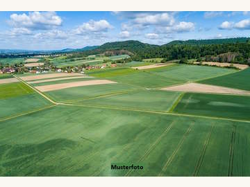 Landwirtschaftsgrund in Wartmannstetten /  Neunkirchen
