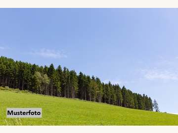 Landwirtschaftsgrund in Inzing /  Innsbruck Land