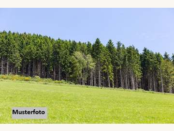 Landwirtschaftsgrund in Sebersdorf /  Hartberg-Fürstenfeld
