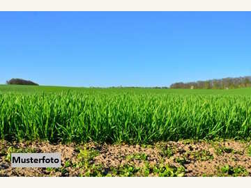 Landwirtschaftsgrund in Götzis /  Feldkirch