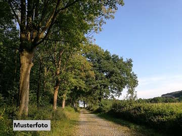 Landwirtschaftsgrund in St.Gerogen am Walde /  Perg