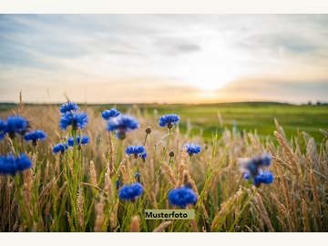 Landwirtschaftsgrund in Pinkafeld /  Oberwart