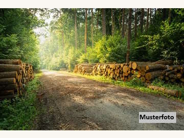 Landwirtschaftsgrund in Heiligenkreuz am Waasen /  Leibnitz