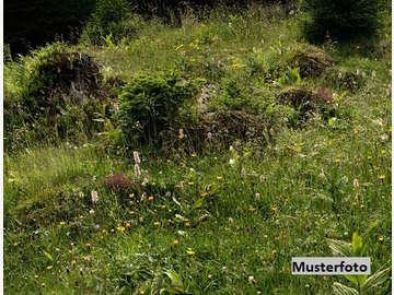 Baugrund in Oberhausen /  G&auml;nserndorf