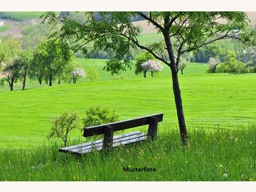 Landwirtschaftsgrund in Obernalb /  Hollabrunn