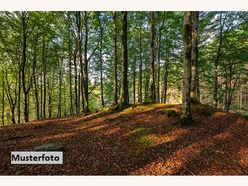 Landwirtschaftsgrund in Pölfing-Brunn /  Deutschlandsberg