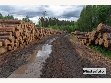 Landwirtschaftsgrund in Bad Fischau /  Wiener Neustadt Bezirk