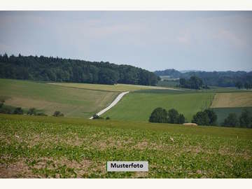 Landwirtschaftsgrund in Obernalb /  