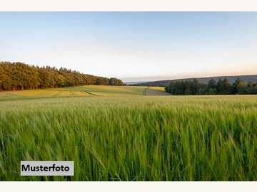 Landwirtschaftsgrund in Puch bei Weiz /  Weiz