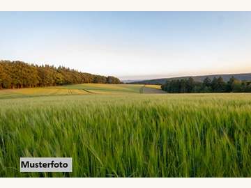 Landwirtschaftsgrund in Puch bei Weiz /  Weiz