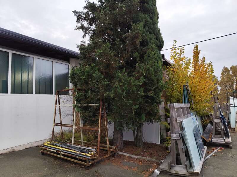 Produktionshalle in 7503 Großpetersdorf - 5