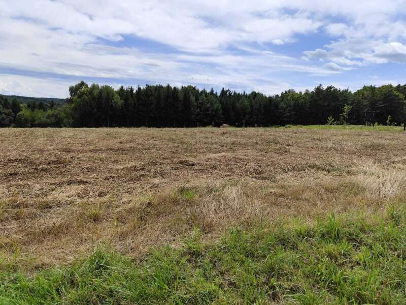 Baugrund in 7511 Neuhaus in der Wart - 1