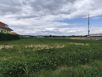 Baugrund in Oberwart