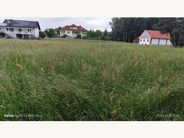 Landwirtschaftsgrund in Sankt Martin in der Wart /  
