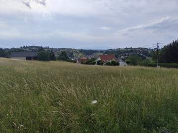 Baugrund in Oberdorf im Burgenland /  Oberwart
