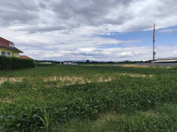 Baugrund in Oberwart /  Oberwart